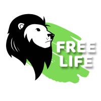 1000071279_4722ef9522568b564a712c8ae8990324-31_12_2025 21_28_36