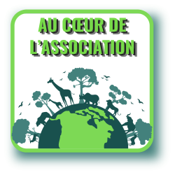 association