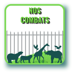 combats